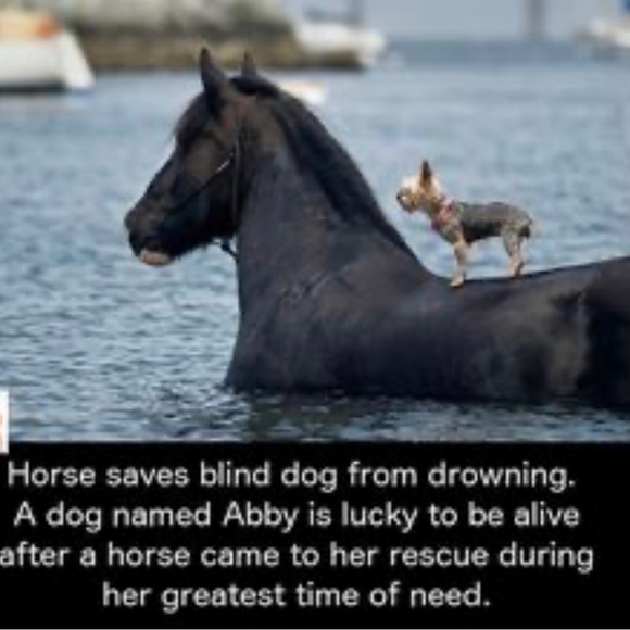 - #7 Follow Game ,🌉🛣️ - Picture 2 of 16